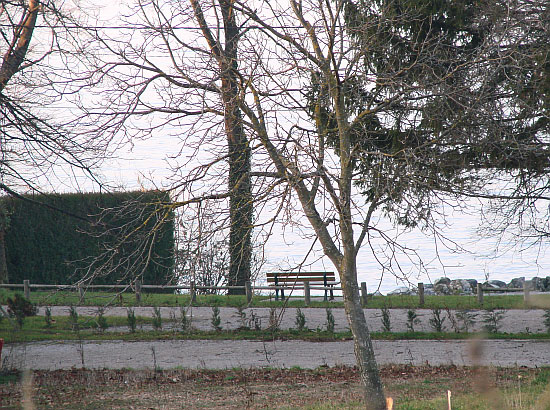 Биография за семью замками: кто такая Ирина Коломойская и почему ее никто не видел